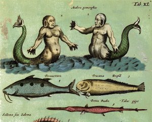 Bir zooloji atlasında anlatılan fantastik bir deniz canlısı olan bir siren ve bir tritonun temsili. Detay. 17. yüzyıl by Unknown artist