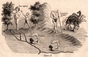 Ortaçağ kabilelerinin ve hayvan türlerinin temsili: Monocules, Blemmys, Sciopodes ve develer by Unknown artist