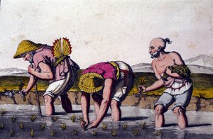 Çin