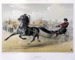 Rusya: Orloff cinsi paça - “” Centaur”da” 1867 by Unknown artist