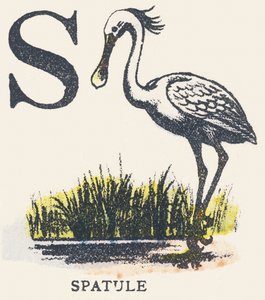 S: spatula by Unknown artist