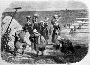 Tuz üretimi: tuz bataklıklarında çalışan kadınlar. 19. yüzyıl gravürü by Unknown artist