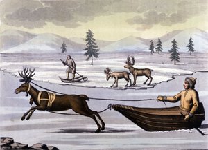 Sami halkı: Kuzey ülkelerinin (Norveç, Finlandiya, İsveç ve Rusya) topraklarında yaşayan yerli halk, ren geyiği kızaklarıyla veya kayaklarla hareket eder. 19. yüzyıl gravürü by Unknown artist