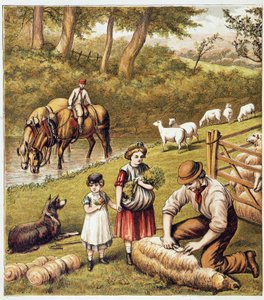 Koyun biçme - kromolitografi by Unknown artist