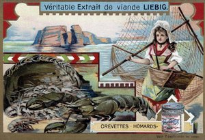 Karides ve ıstakoz, genç bir balıkçı kadınla, sepetini ve büyük bir ağı taşıyor - Liebig kromolitografisi by Unknown artist