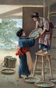 Japon mıknatısında ipekböceği üremesi. 19. yüzyılın sonlarında kromolitografi. by Unknown artist
