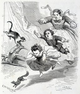 Sophie ve sincap - Ségur Kontesi Hachette