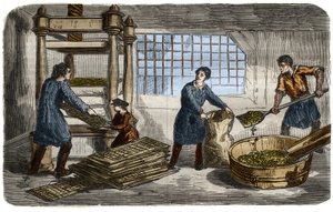 Şeker üretimi: pancar küspesinden meyve suyu çıkarılması. Hamur, hidrolik pres tepsisinin altına istiflenen torbalara doldurulur. 1859