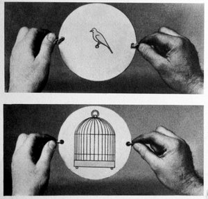 Thaumatrope: 1825'te John Ayrton Paris, sihirli diski taumatrope'u (mucize çark) pazarladı, bir tarafta boş bir kafes çizilir, diğer tarafta bir kuş, disk bir iple tutulur. Onu çevirerek, kuşun kafeste olduğu yanılsamasını elde ederiz. by Unknown artist