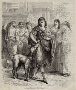 Alcibiades