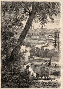 Güney Topraklarına Yolculuk (1800-1803) Nicolas Baudin (1754-1803): Sidney