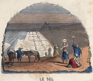 Tuz koleksiyonu. 19. yüzyıl illüstrasyonu. Bianchetti koleksiyonu. by Unknown artist