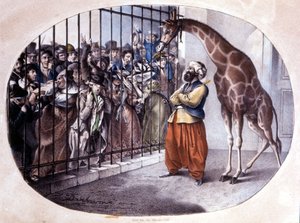 Meraklı kalabalık bir kapının arkasında bir zürafa görmek için koştu. Danhaaren tarafından litografi. 1829 by Unknown artist