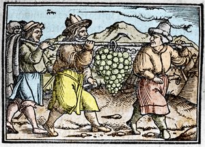 Yeşu ve Kaleb'in büyük bir salkım üzümle Kenan (Vaat Edilmiş Toprak) ülkesinden dönüşü. Chronicle Johann Stumpff “” Den edlen strucen besten fromen”” by Unknown artist