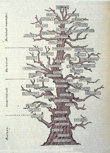 Hayvanlar aleminin sınıflandırmasını temsil eden Evrim Ağacı veya resimli tahta. by Unknown artist