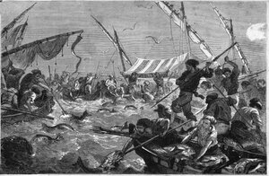 Provence kıyısında ton balığı avı (Pesca al tonno). by Unknown artist