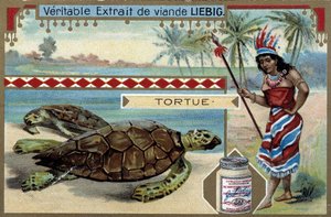 Kaplumbağa, Güney Amerika yerlisi gibi giyinmiş, av mızrağıyla donatılmış bir kadınla - Liebig kromolitografisi by Unknown artist