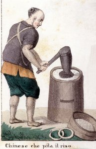 Un Chinese qui pille le riz - in dünyanın tüm halklarının evrensel kostümü by Unknown artist