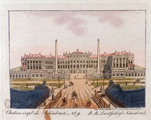 Viyana yakınlarındaki Schonbrunn İmparatorluk Kalesi