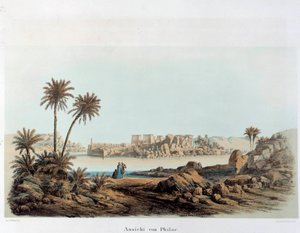 Mısır
