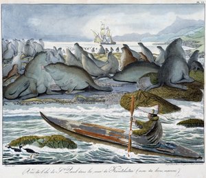 Deniz aslanları ile Kamçatka denizinde St. Paul adasının görünümü. by Unknown artist