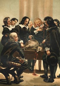William Harvey (1578-1658) 1628