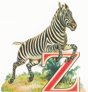 Gönderen: Zebra by Unknown artist