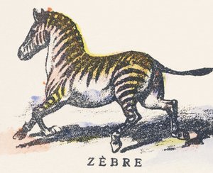 Z: zebra by Unknown artist