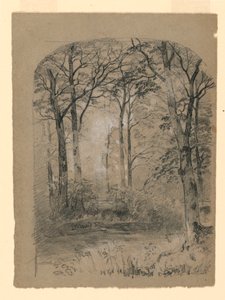 Çizim, Ormanlık Alan Çalışması, 1865-70 by Unknown artistUnknown artist