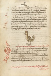 Bir Tavuk by Unknown artist
