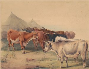 sığır sürüsü by Unknown artist