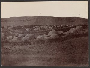 Bir Kraal, Zulu Ülkesi by Unknown artist