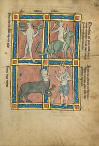 Ateş Hakkında Bilgisi Olmayan Bir Adam; Timsaha Binen Bir Adam; Bir Sentor; Sanrus by Unknown artist