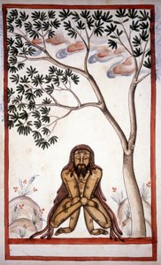 Stefano Nivibus Cardeira