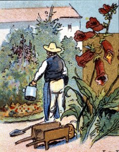 Bir bahçıvan, kromolitografi by Unknown artist