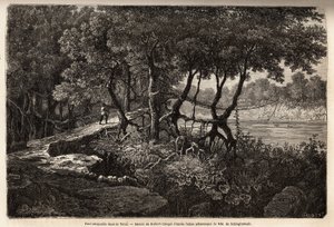 Terai