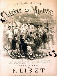 Viyana akşamlarının afişi. F. Schubert