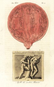 Apollon