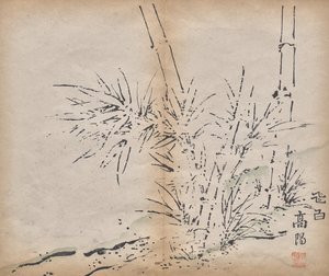 Bambu by Unknown artist