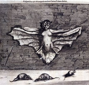 Yarasalar ve sıçanlar. Athanasius Kircher tarafından “De China Monumenta” by Unknown artist