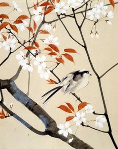 Çiçek açan kuş ve kiraz ağacı - 19. yüzyılın sonlarında Riou Chim tarafından Japon çizimi by Unknown artist