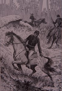 Avustralya