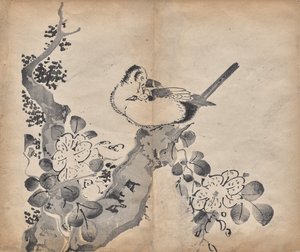 Çiçekler ve Kuşlar by Unknown artist