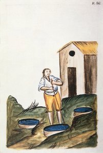 Baltazar Martinez Compañón y Bujanda, Trujillo piskoposu (1782-1785) tarafından yazılan "Trujillo del Peru" veya "Códice Martínez Compañón" kitabından yün boyamak için kullanılan mavi boya tepsisi by Unknown artist