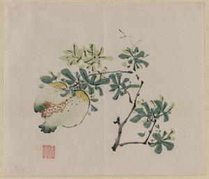Narlı Şube by Unknown artist