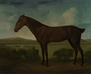 Dağlık Bir Manzarada Kahverengi At by Unknown artist