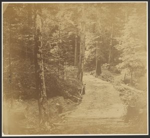 [Harper