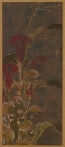 Coxcombs, mısır ve sabah zaferleri by Unknown artist