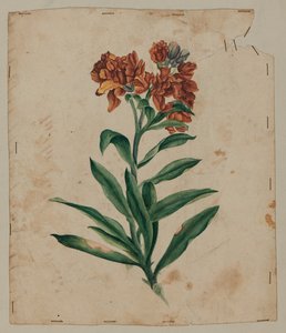Tasarım Çizimi, 18. yüzyıl başı by Unknown artist