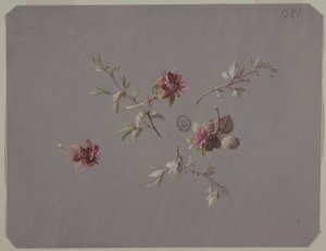 Duvar Kağıdı ve Tekstil Tasarımı: Çiçekler by Unknown artist